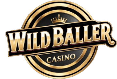 Wild Baller Club site icon